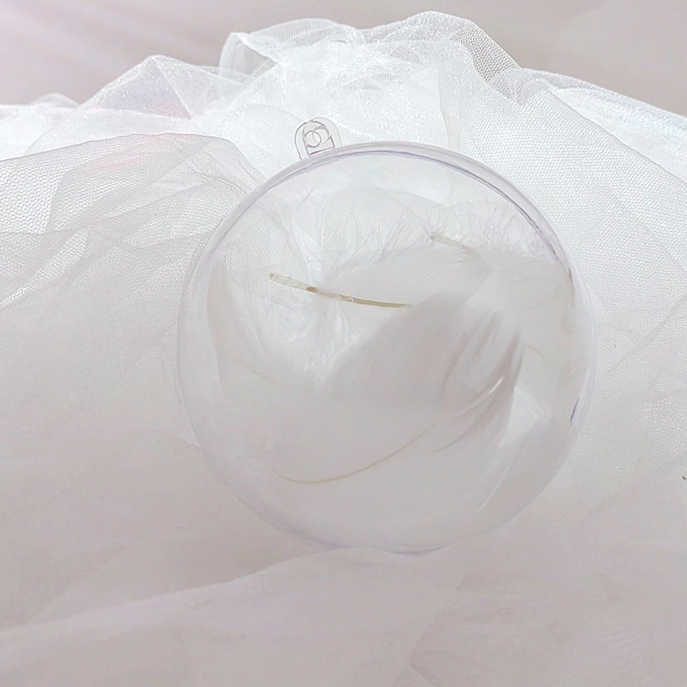 Boule Transparente à Plumes Blanches Personnalisable tendance