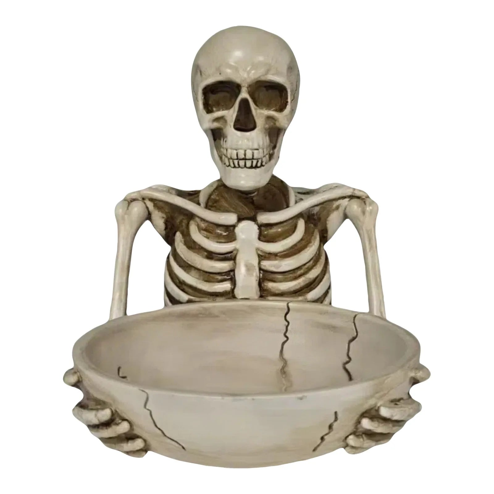 Buste Squelette Déco halloween Blanc