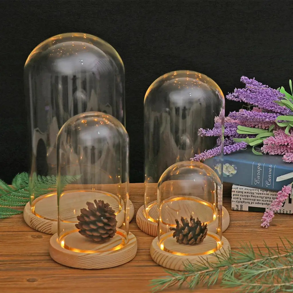 Cloche en Verre Lumineux