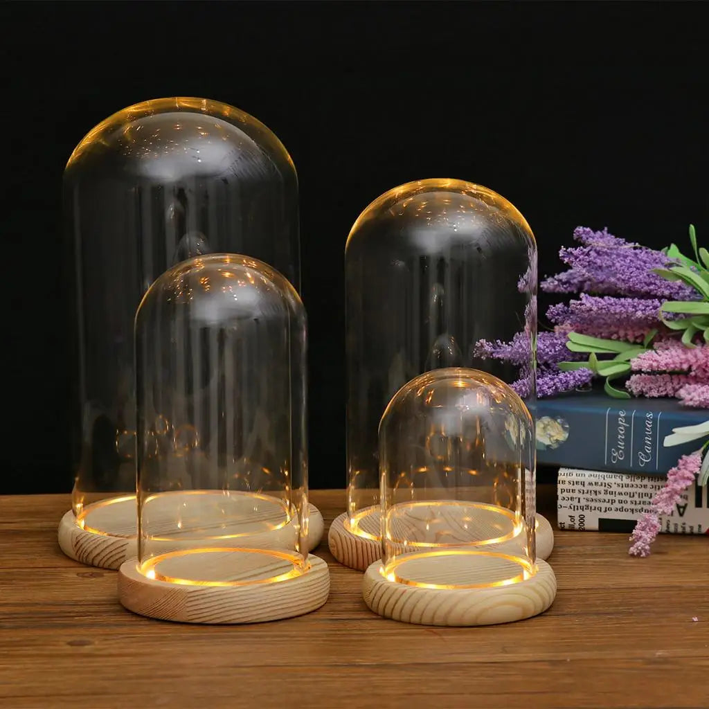 Cloche en Verre Lumineux Design