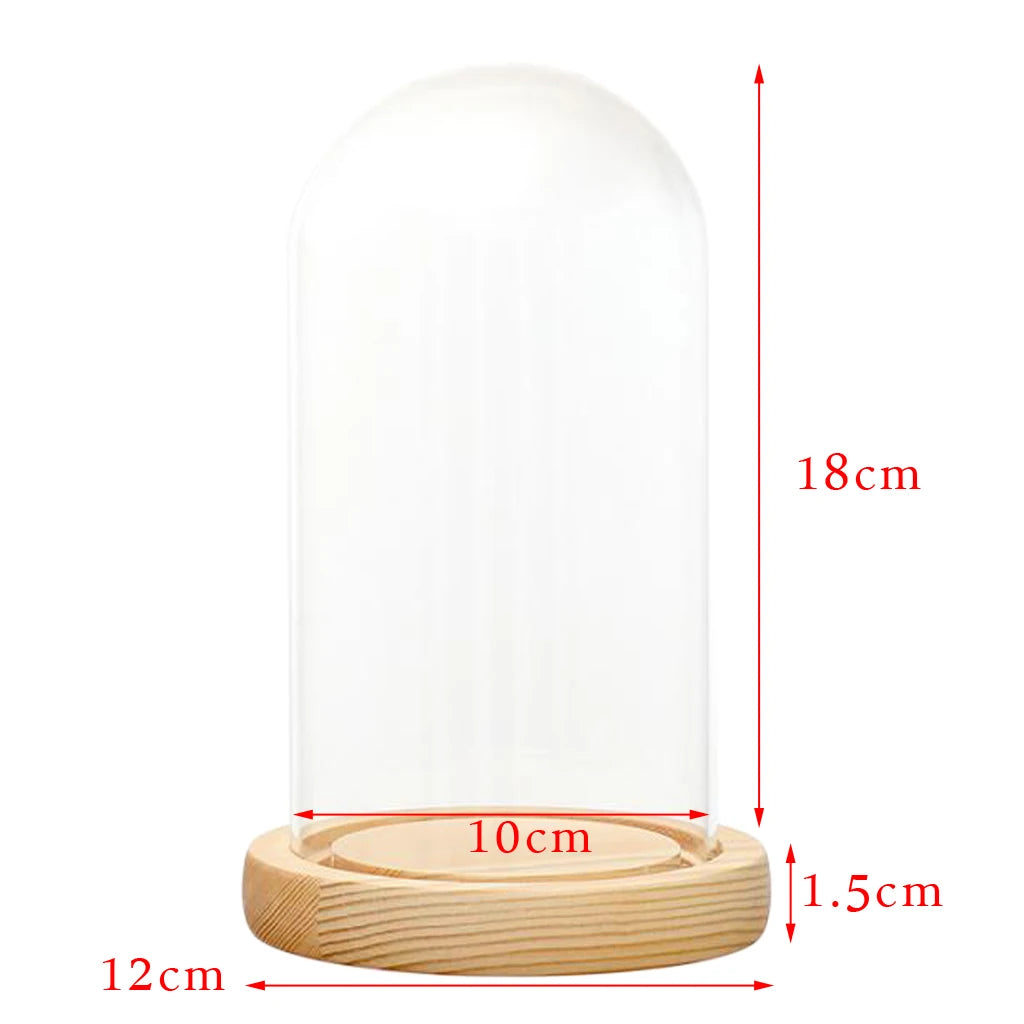 Cloche en Verre Lumineux Petit