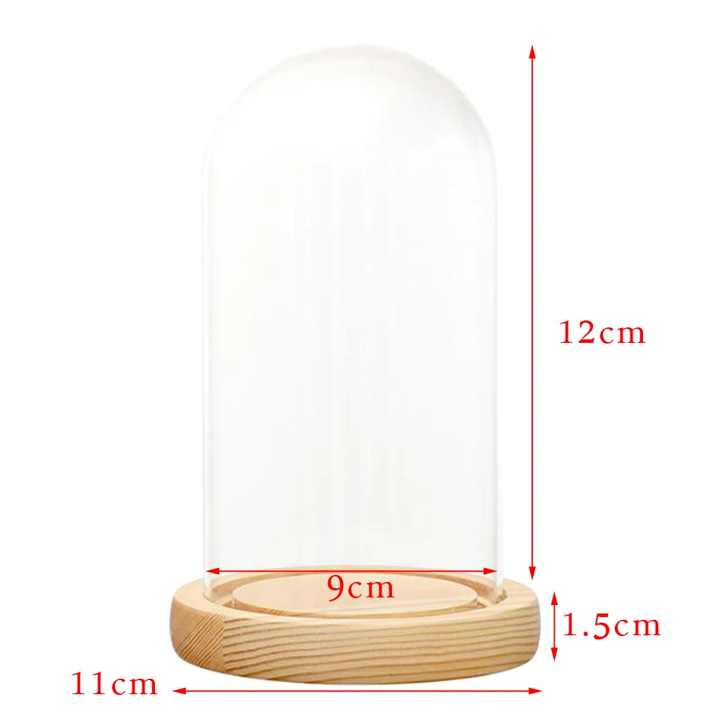 Cloche en Verre Lumineux Unique