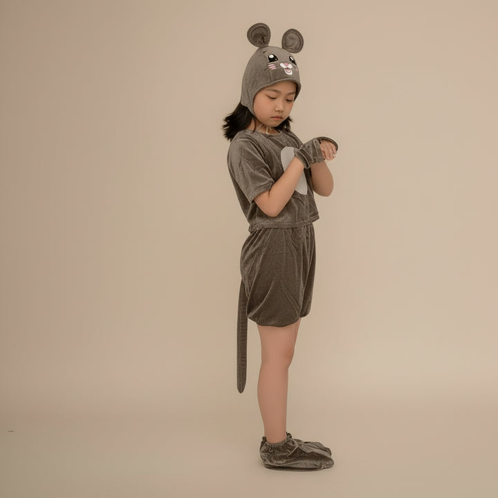 Déguisement Souris Gris
