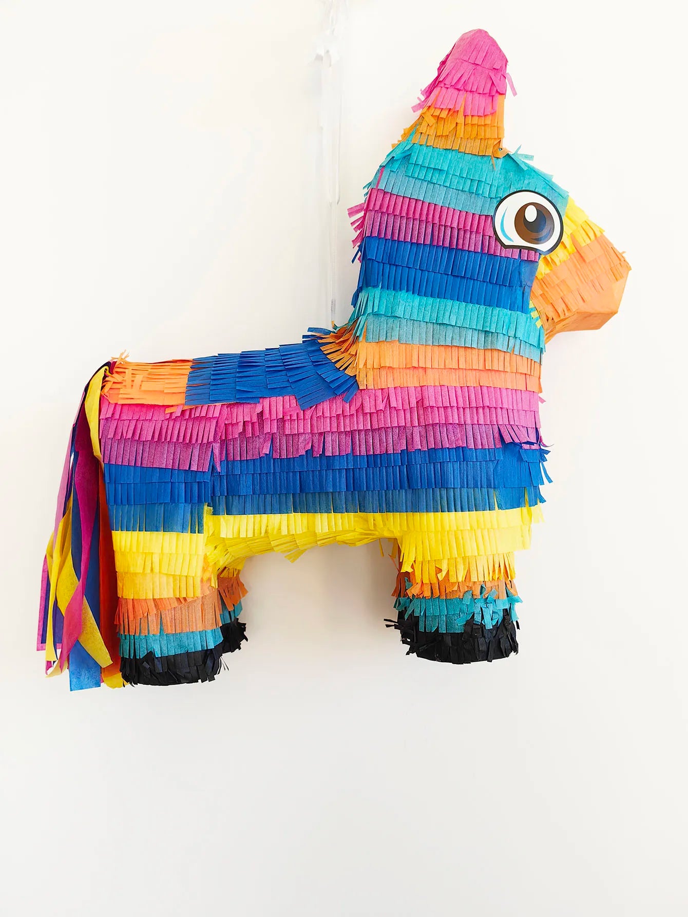 Pinata Anniversaire Âne Solide 