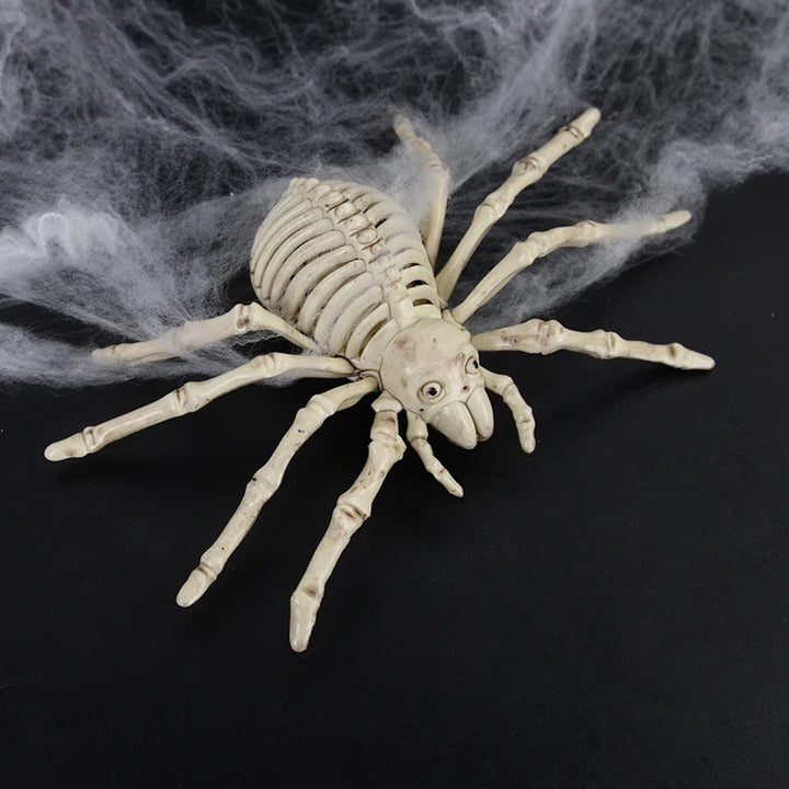 Squelette Araignée Halloween