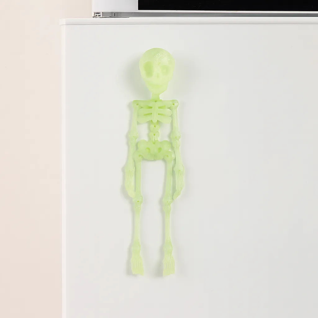 Squelette Magnétique Fluorescent