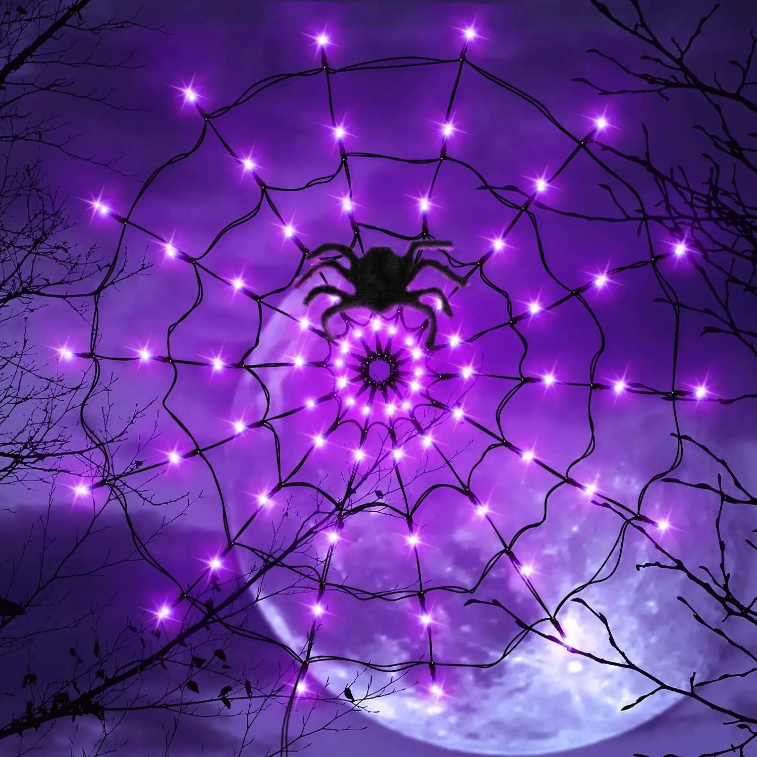 Toile d’Araignée LED Violet